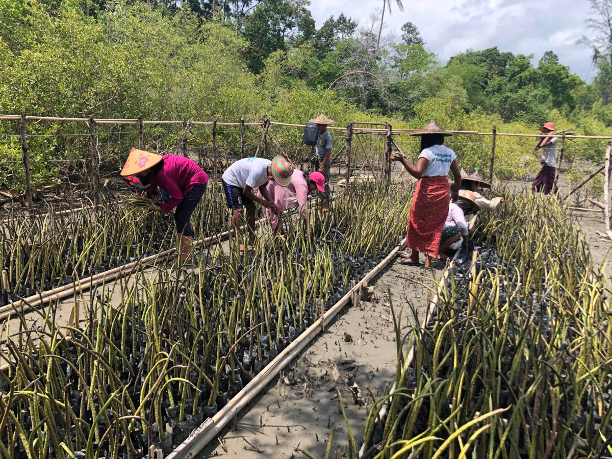ကမ္ဘာ့ပတ်ဝန်းကျင်ထိန်းသိမ်းရေးနေ့ (World Environment&nbsp;Day)