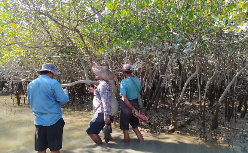 Community Forest status in Kyaukpyu&nbsp;Township