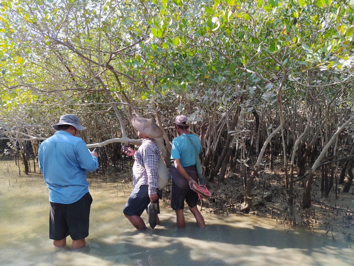Community Forest status in Kyaukpyu&nbsp;Township